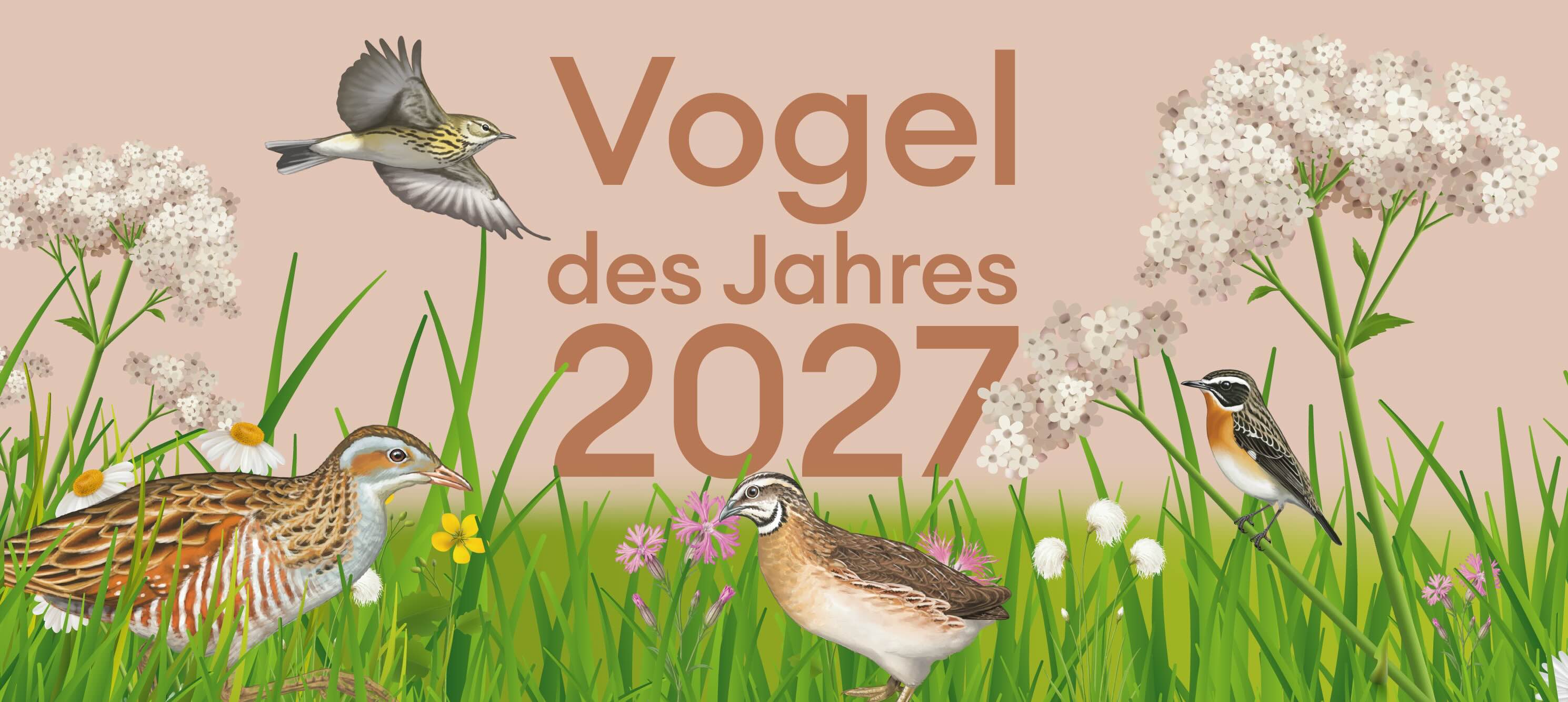 Vogel des Jahres